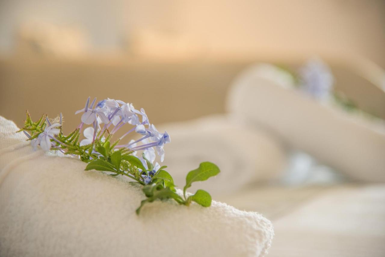 Cycladic Islands Hotel & Spa Agia Anna  Dış mekan fotoğraf